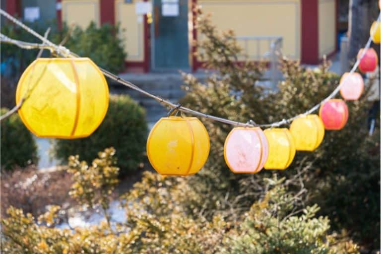 Solar Powered Hanging Lanterns