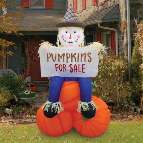 Scarecrow Sitting on Pumpkin with Pumpkins for Sale Banner