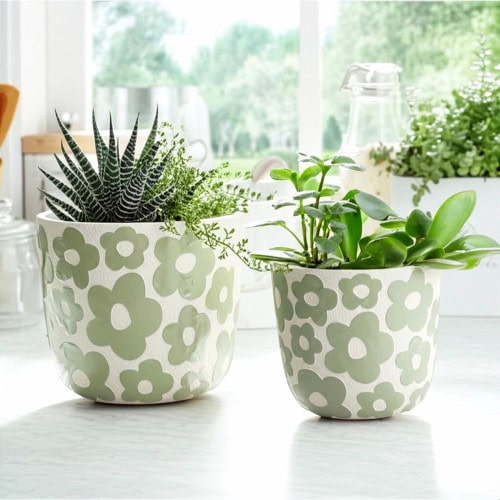 Decorative Mint Green Planters